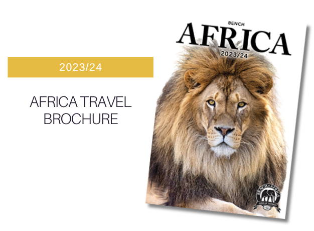 african safari tours from australia