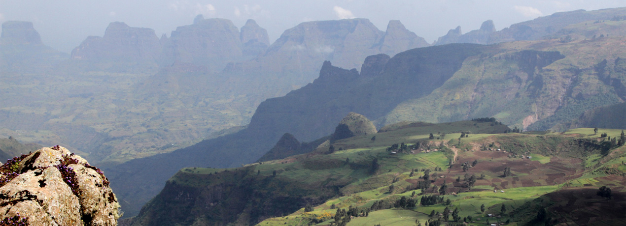 Simien Mountains | Bench Africa