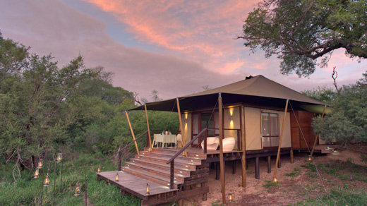 Ngala Tented Camp | Bench Africa