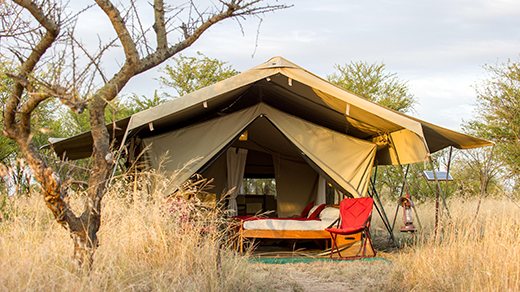 Serengeti Wilderness Safari | Bench Africa