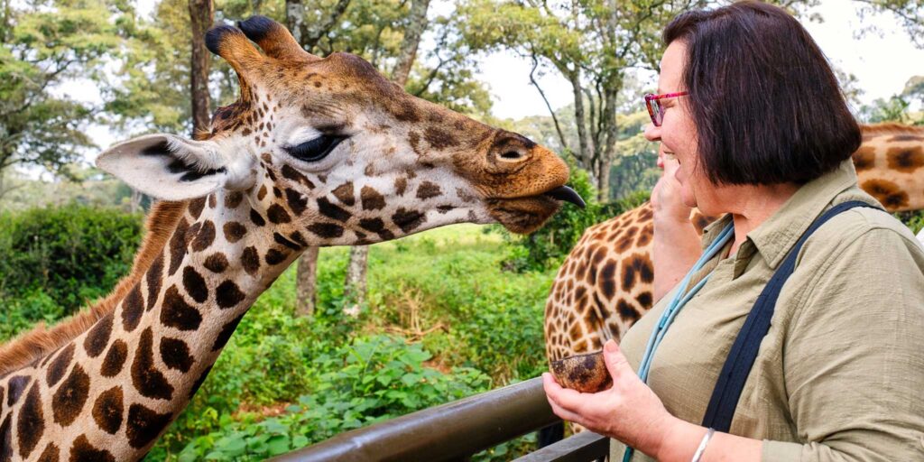Woman on the Explore Kenya Women's Tour smiling at a giraffe right in front of her poking its tongue out