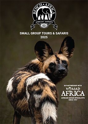 Africa travel brochure