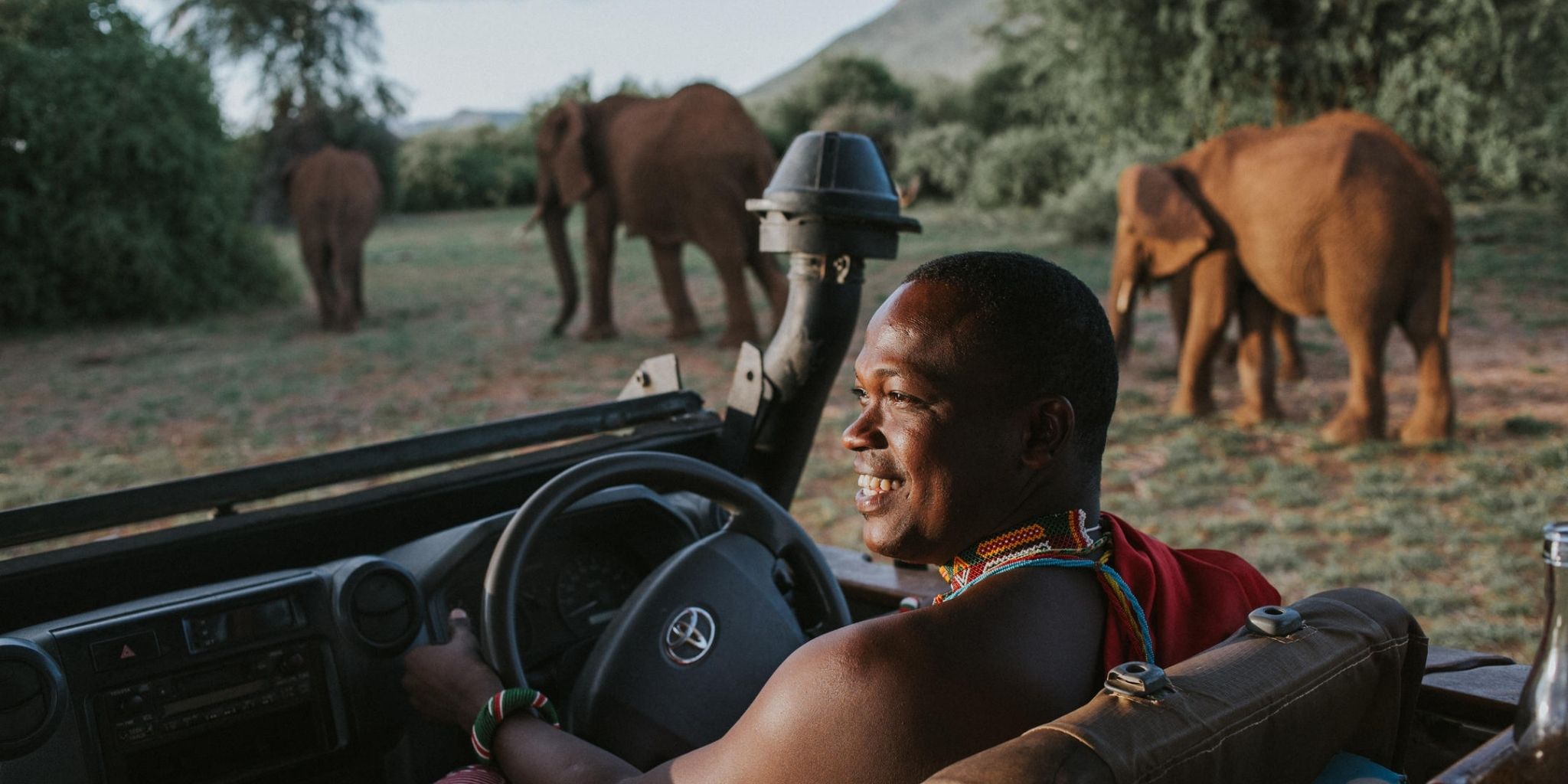 Driver pulled up next to elephant