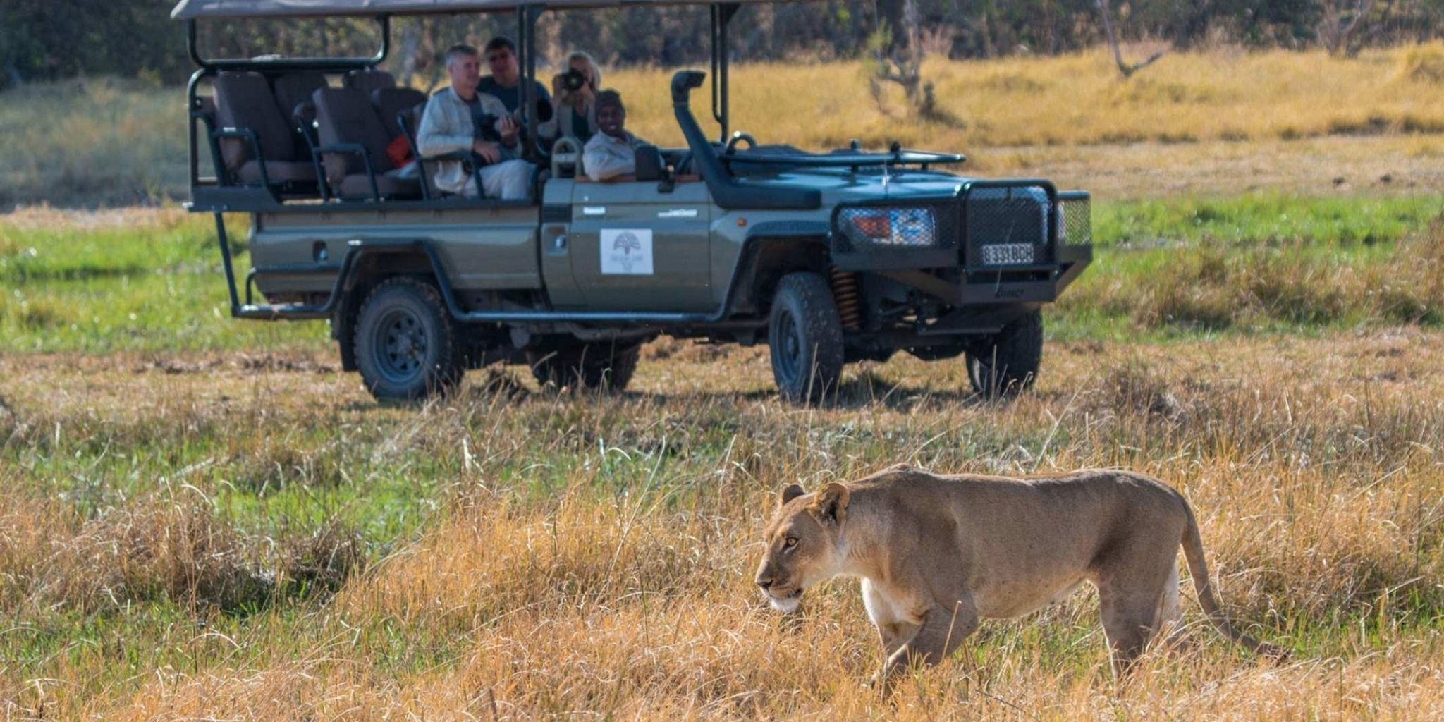 Lioness spotted on safari at Verney's Camp