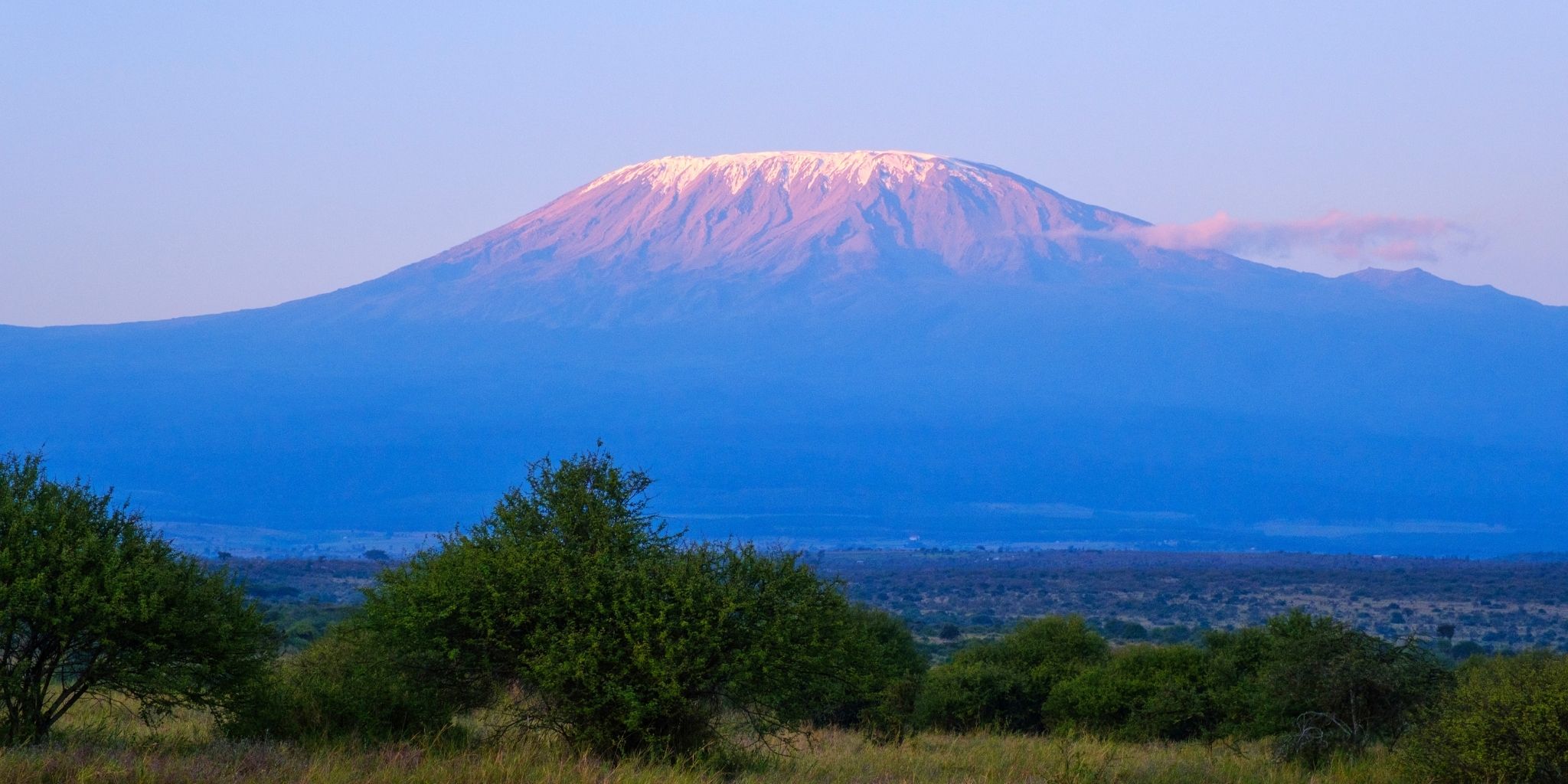 Stunning view of Mount Kilimanjaro at sunrise making it look purple