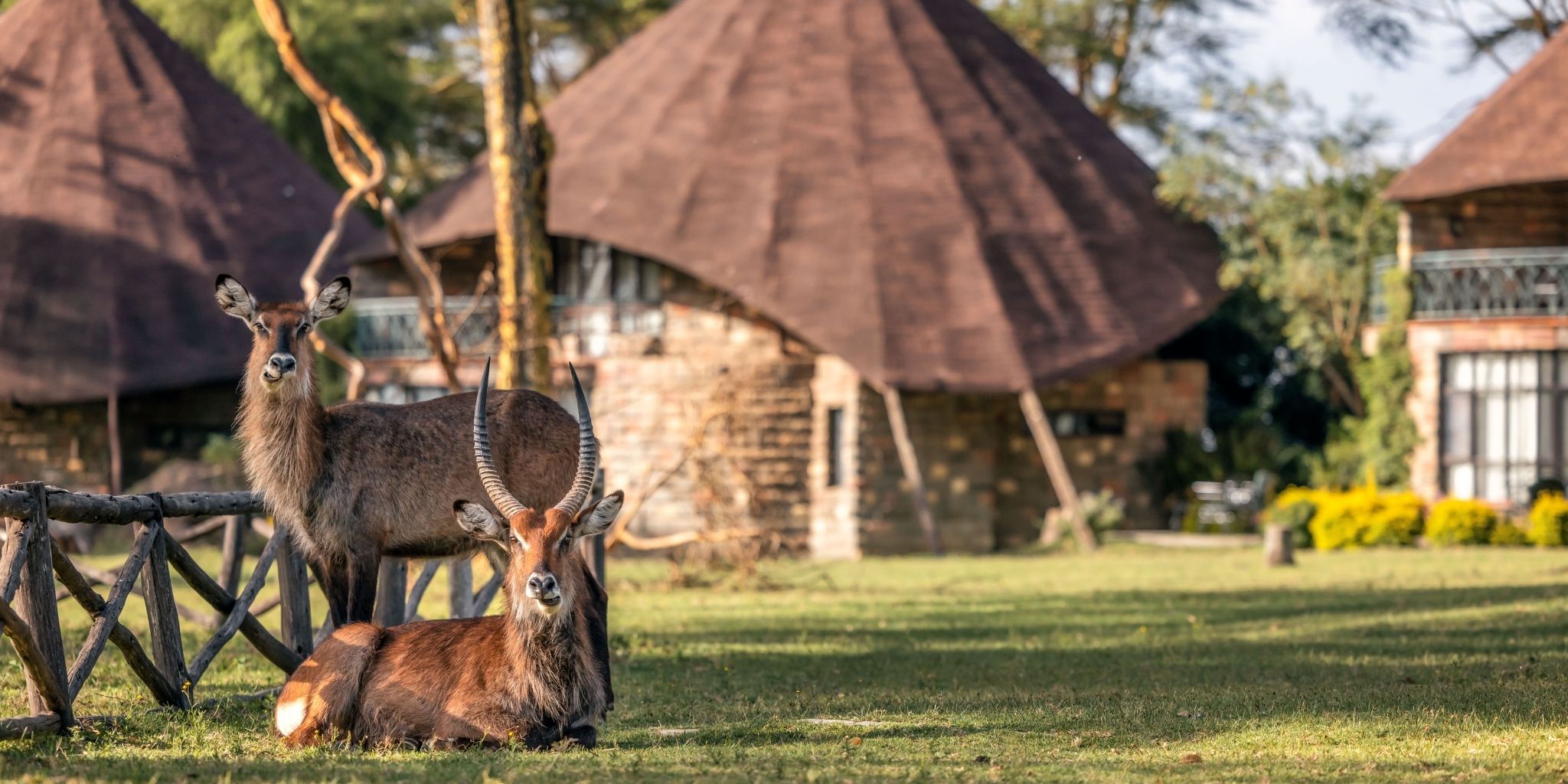 Lake Naivasha Sopa Lodge