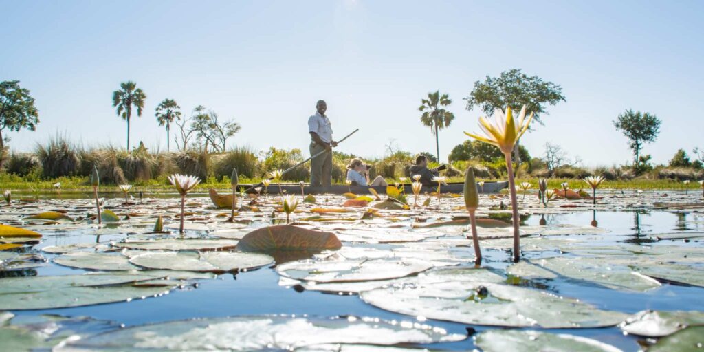 When is the Best Time to Visit The Okavango Delta?