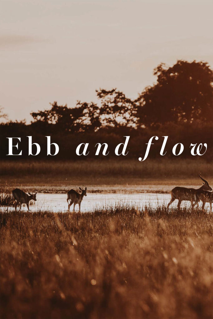 Botswana: Ebb & Flow