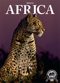 Africa Travel Brochure