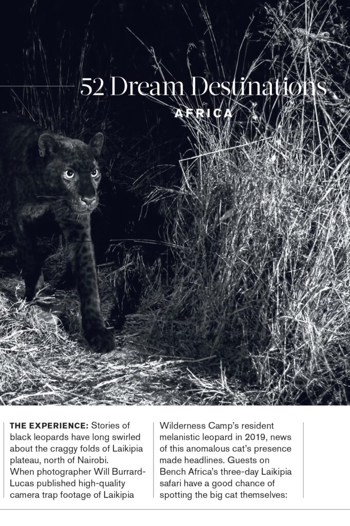 Kenya: Giza, The Black Leopard