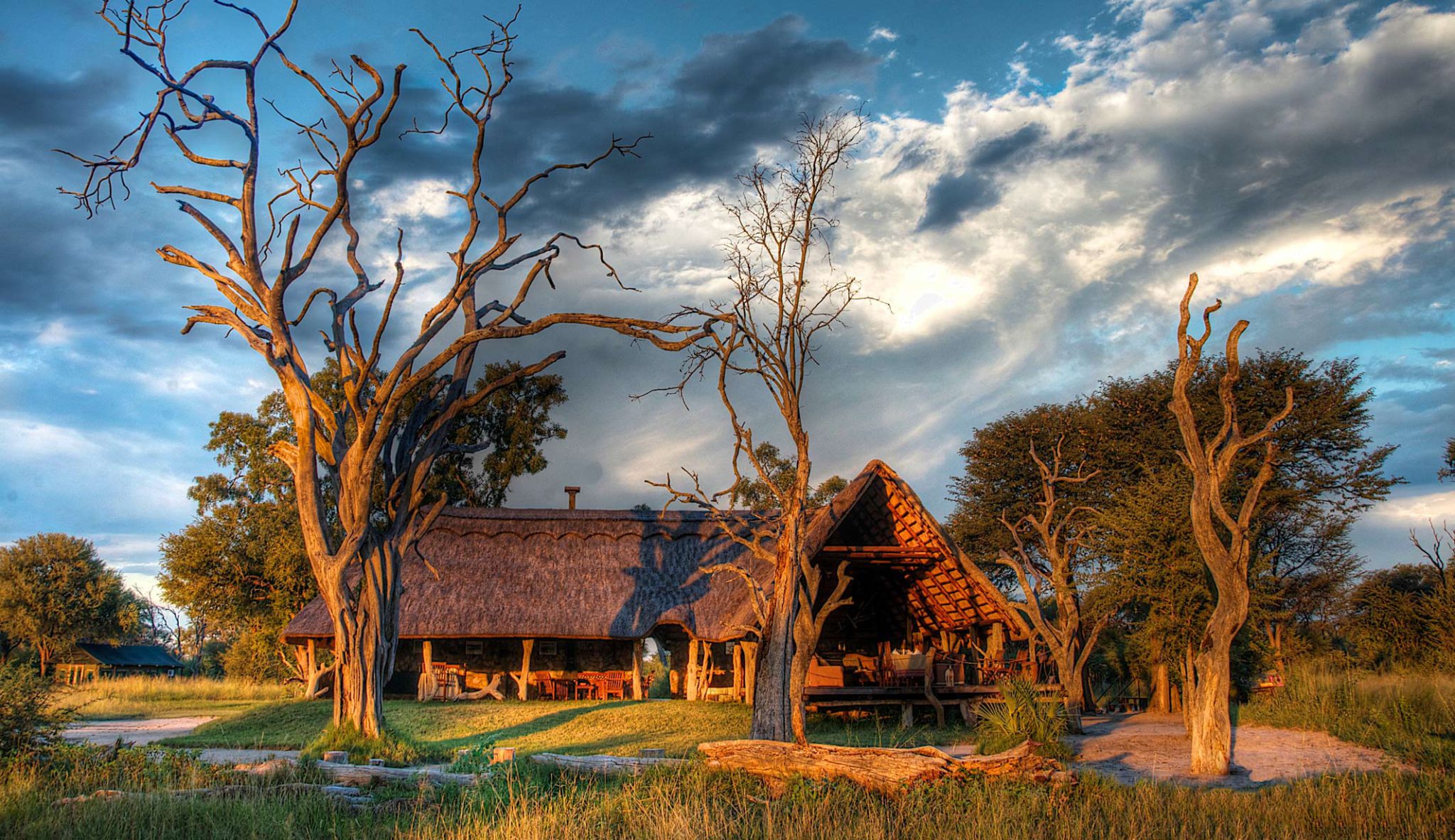Bomani Tented Camp