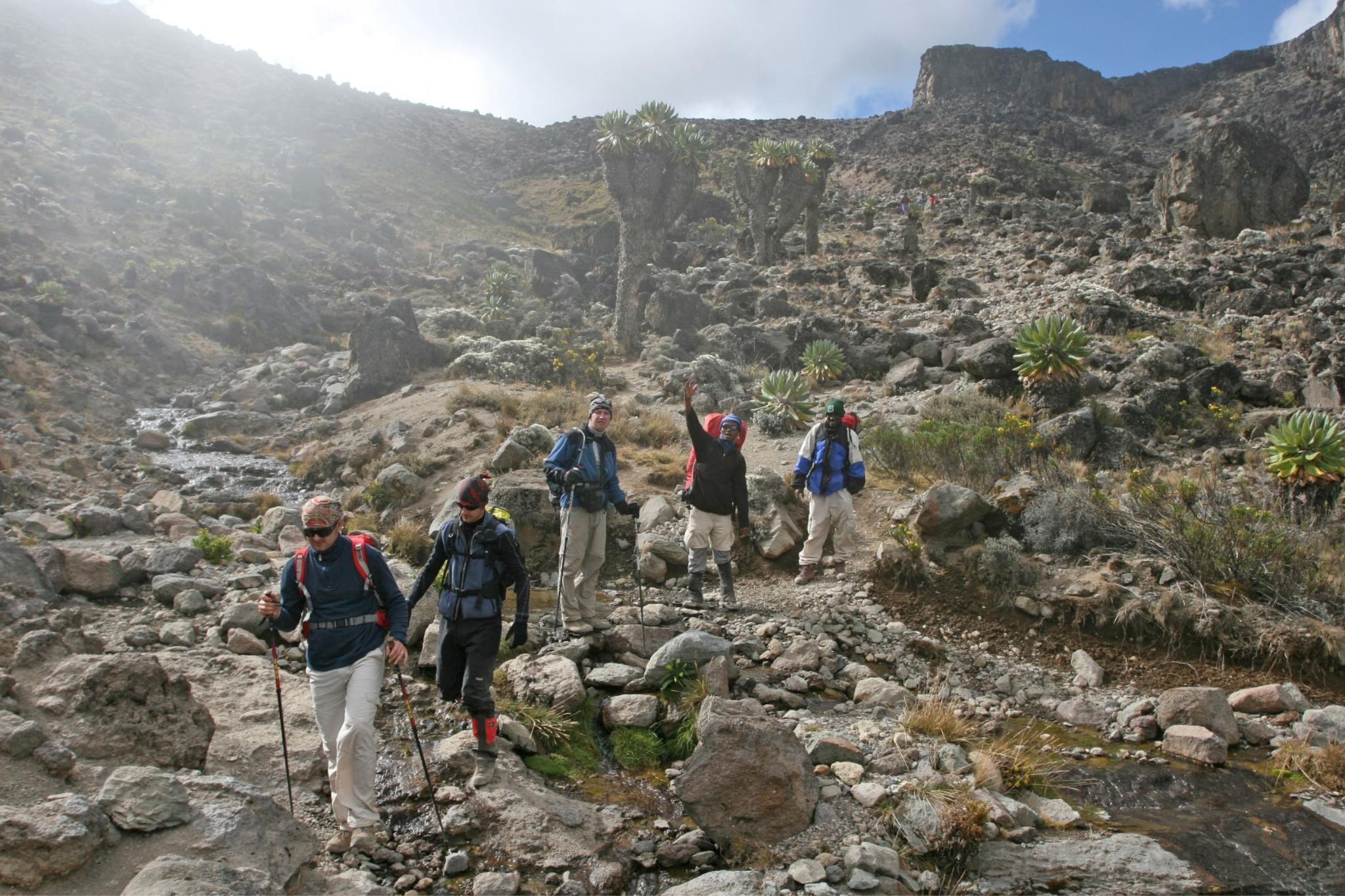 people trekking up Mount Kilimnajaro