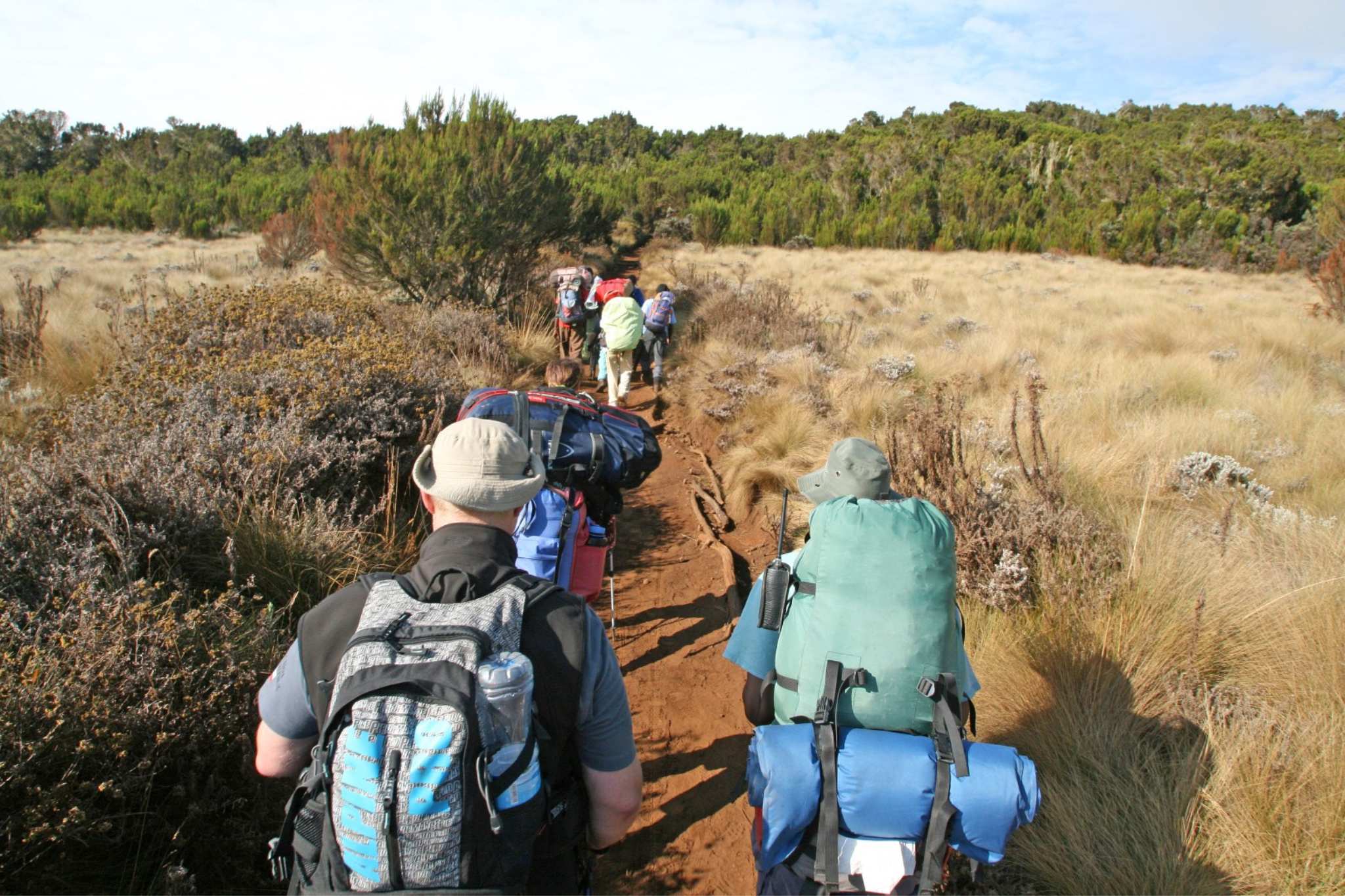 people trekking up Mount Kilimnajaro