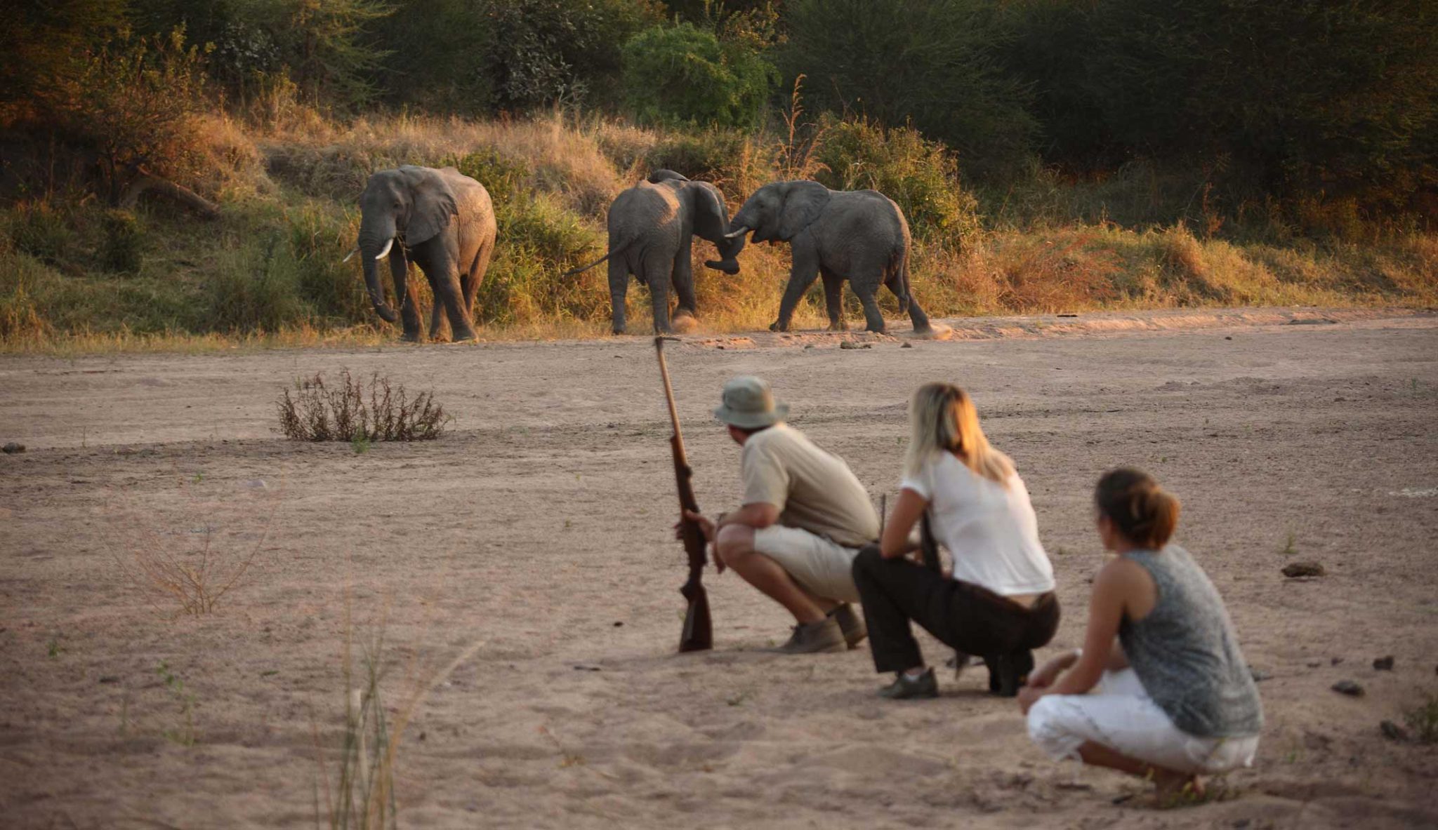 Adventure Safari - Ruaha National Park