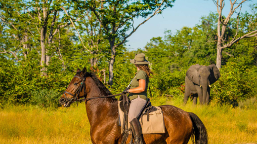 Botswana Horse Riding