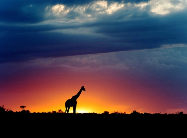 Looking to the Future with Bench