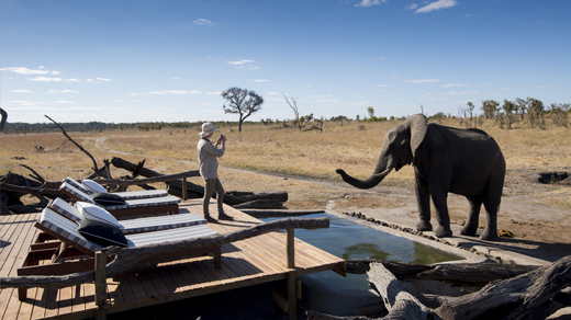 Somalisa Expeditions