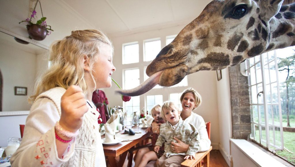 Giraffe Manor Nairobi Kenya