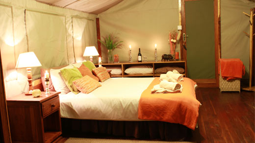 Bomani Tented Camp