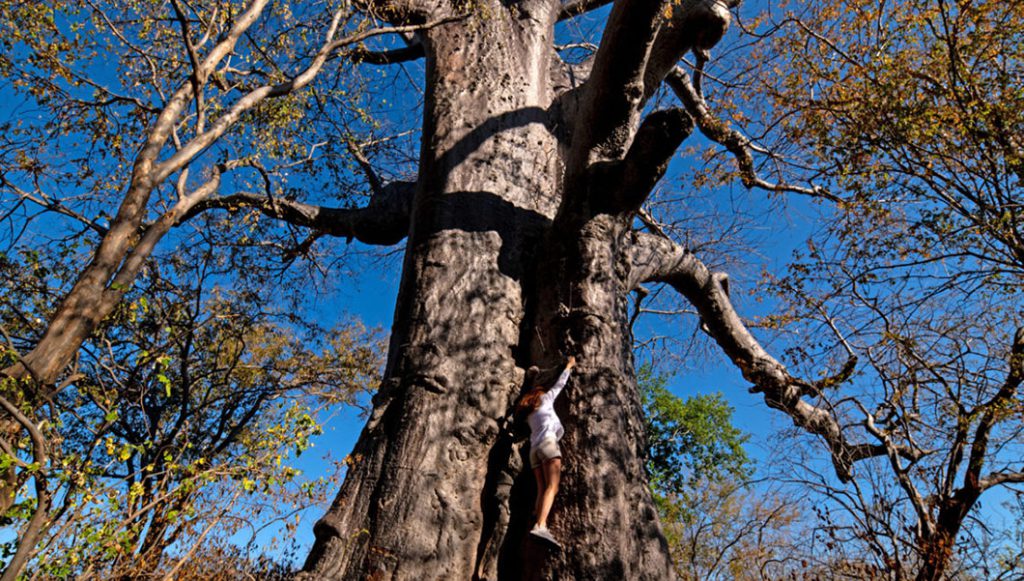 Ichingo Chobe River lodge