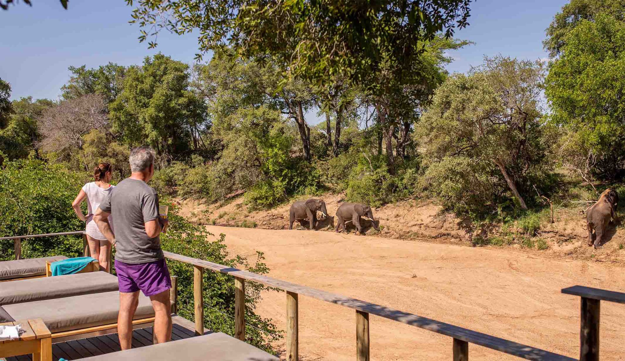 Views from Bateleur Safari Camp
