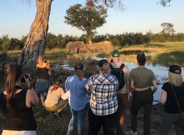 Safari for Change with Imvelo Safaris