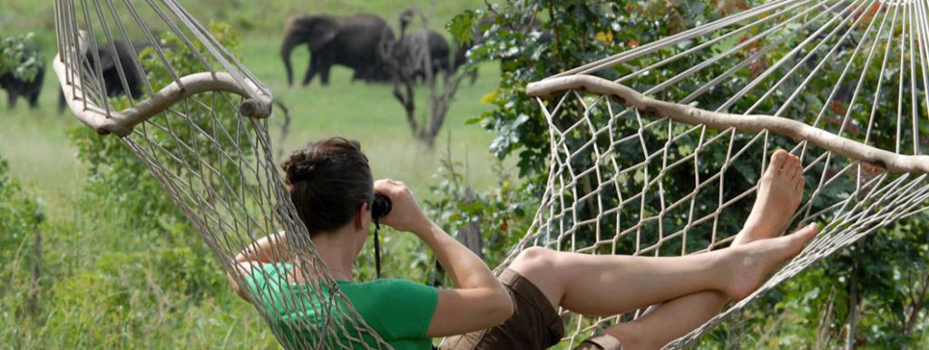 Botswana Wildlife Safari