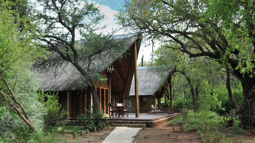 Black Rhino Game Lodge