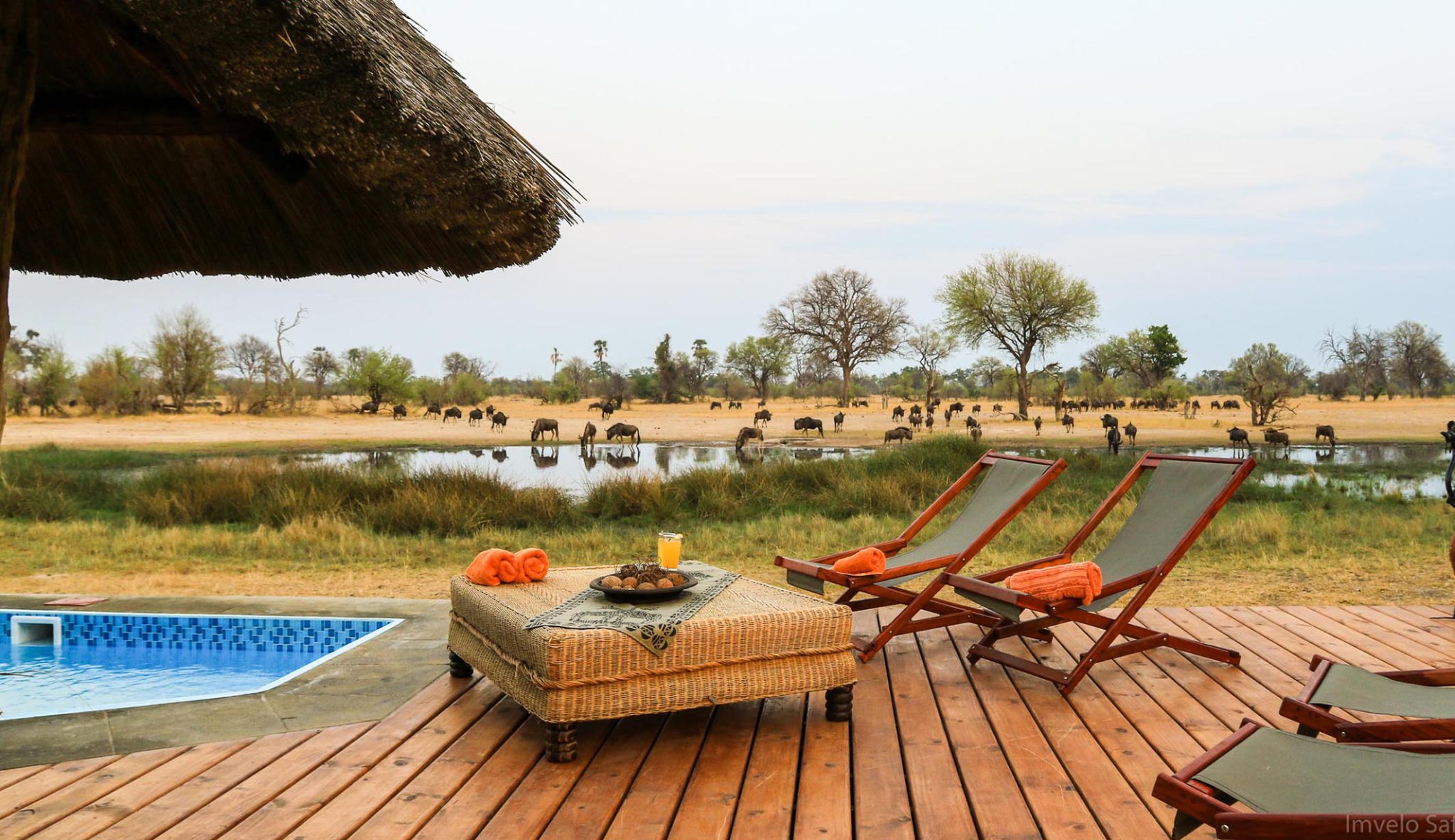 Victoria Falls Hwange Safari