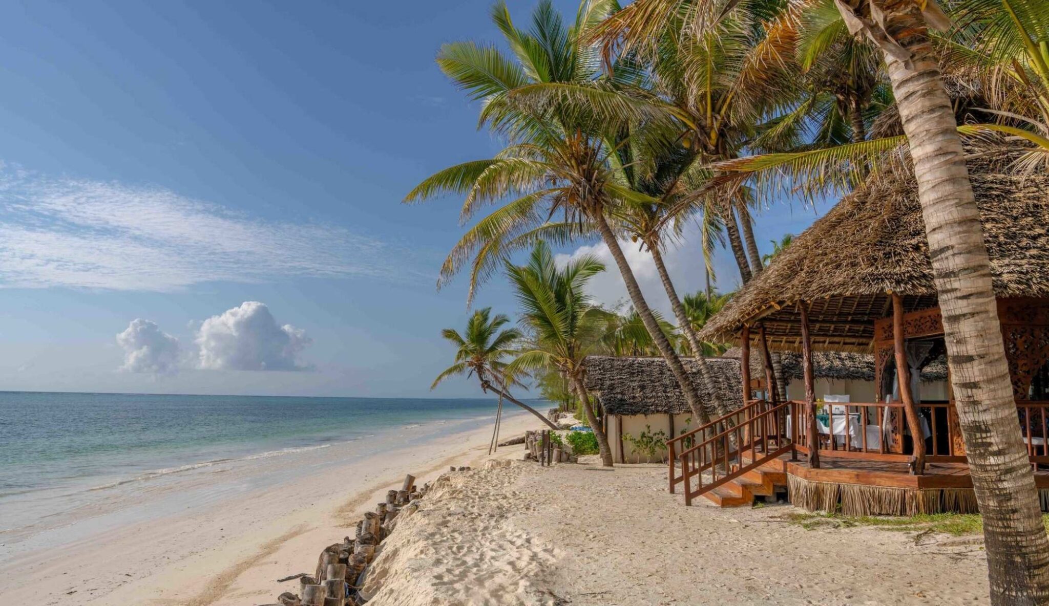 Beach bar surrounded by palm trees