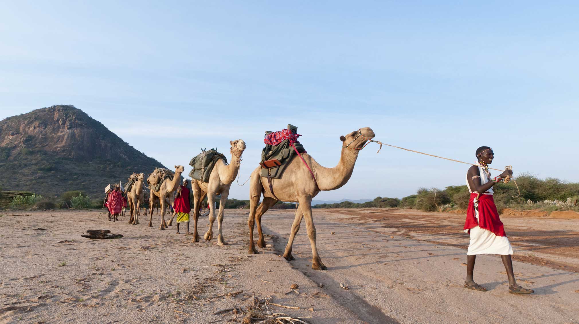 Your walking camel companions carry your luggage