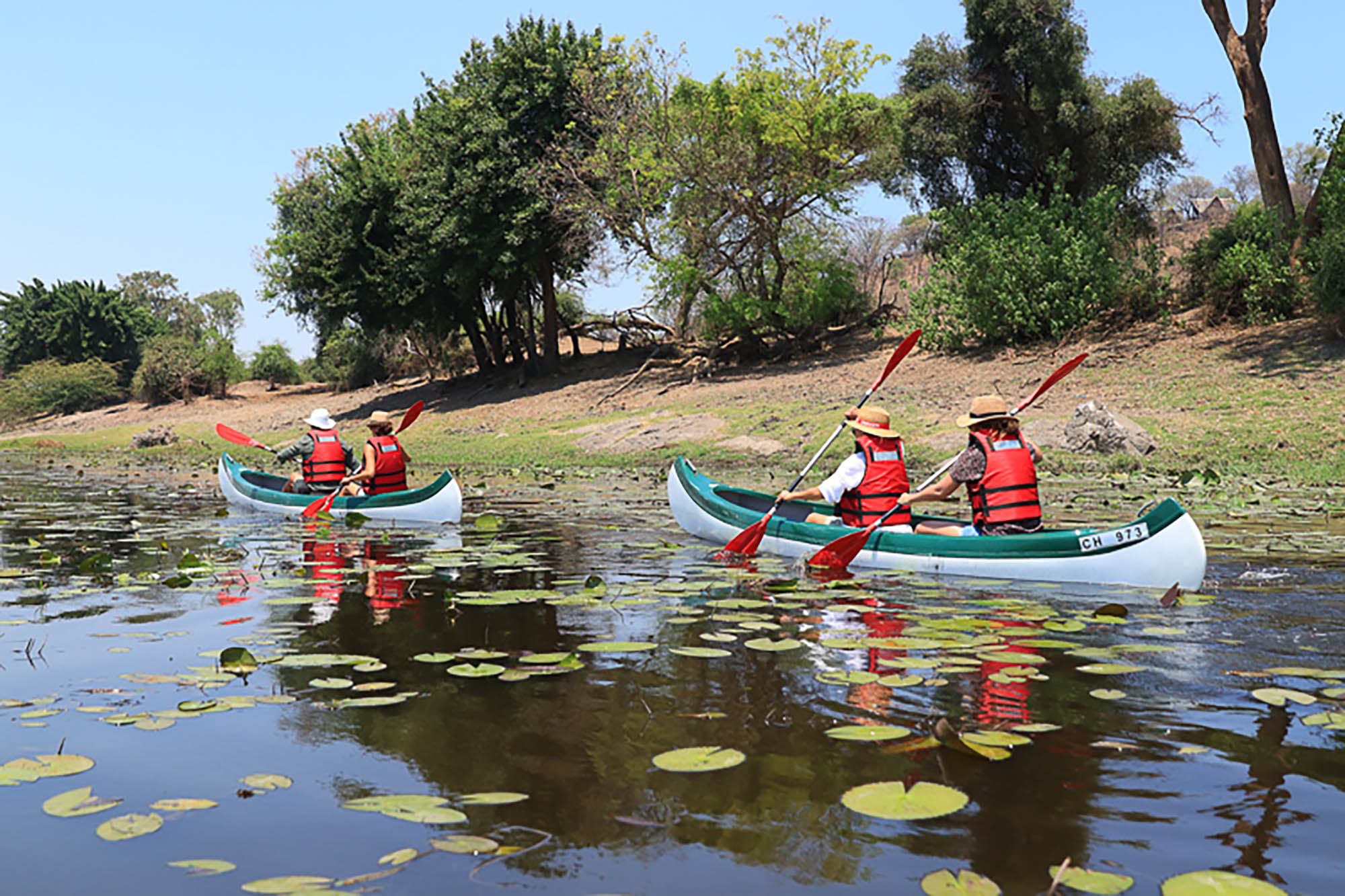 Chobe Elephant Camp is located high on the edge of a rocky ridge overlooking the famous Chobe River. Built from the same red Kalahari sands that dominate the northern part of Botswana