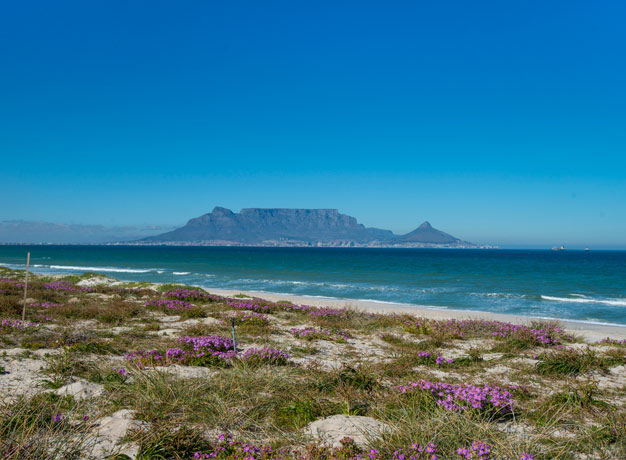 Spotlight on South Africa: Table Mountain