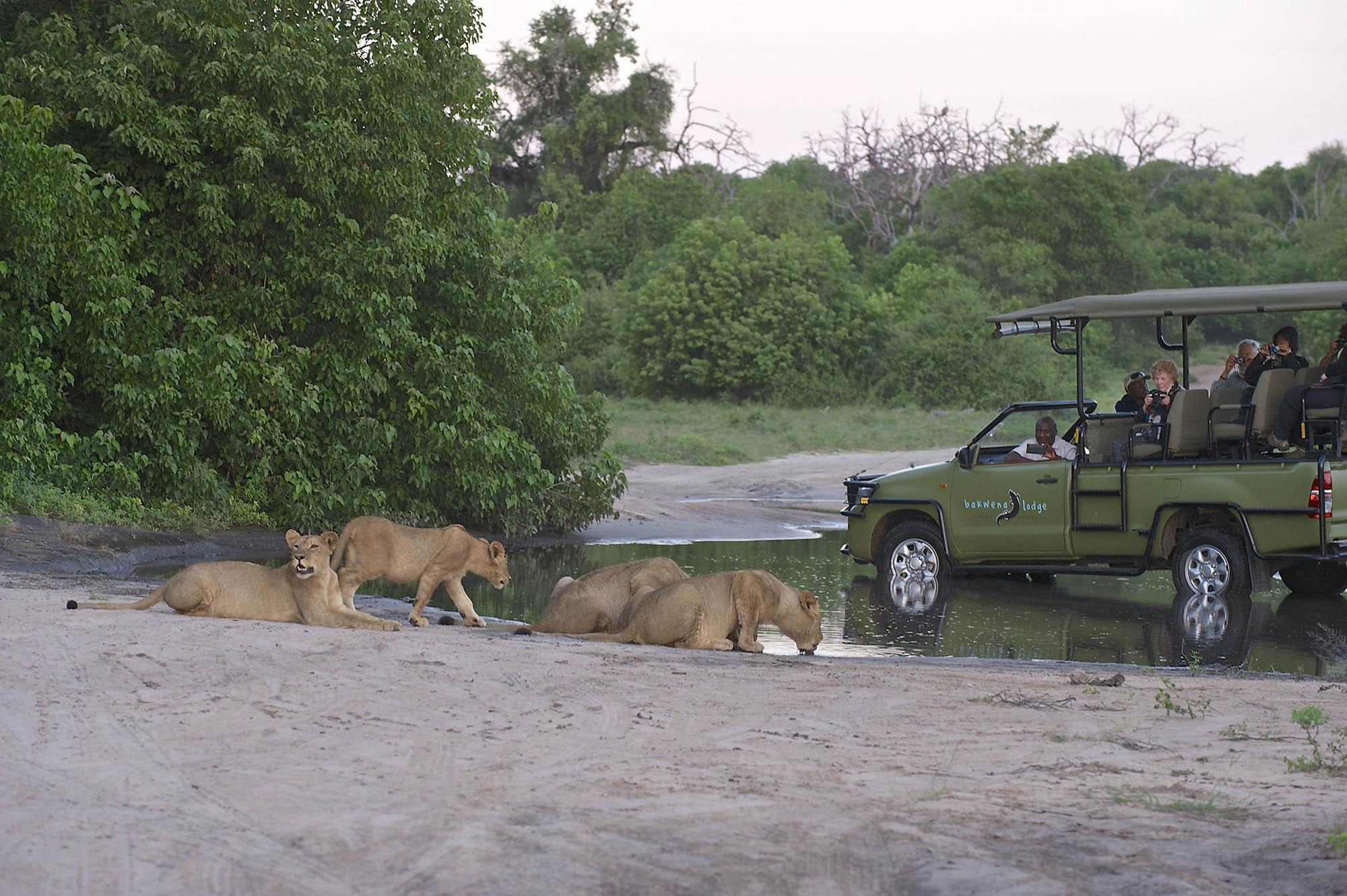 the lodge offers 15 beautiful