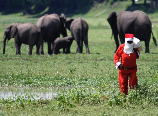 Let’s Celebrate Christmas – Africa Style!