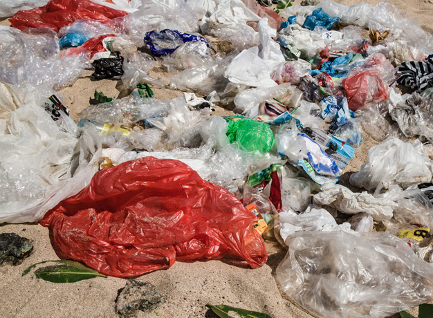 Kenya Bans the Plastic Bag
