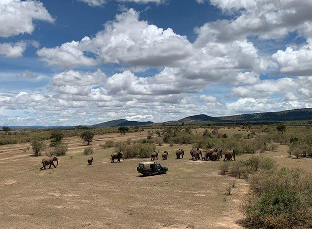 COVID-19: 5 Ways Africa is Combatting the Conservation Threat