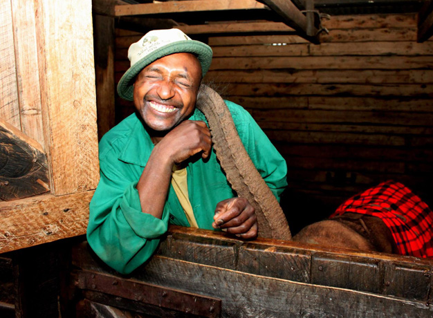 Top 5 Nairobi Sightseeing Tours