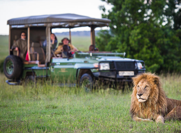 24 hours on safari in East Africa