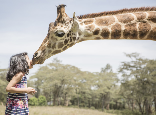 Are Animal Encounters Ethical?