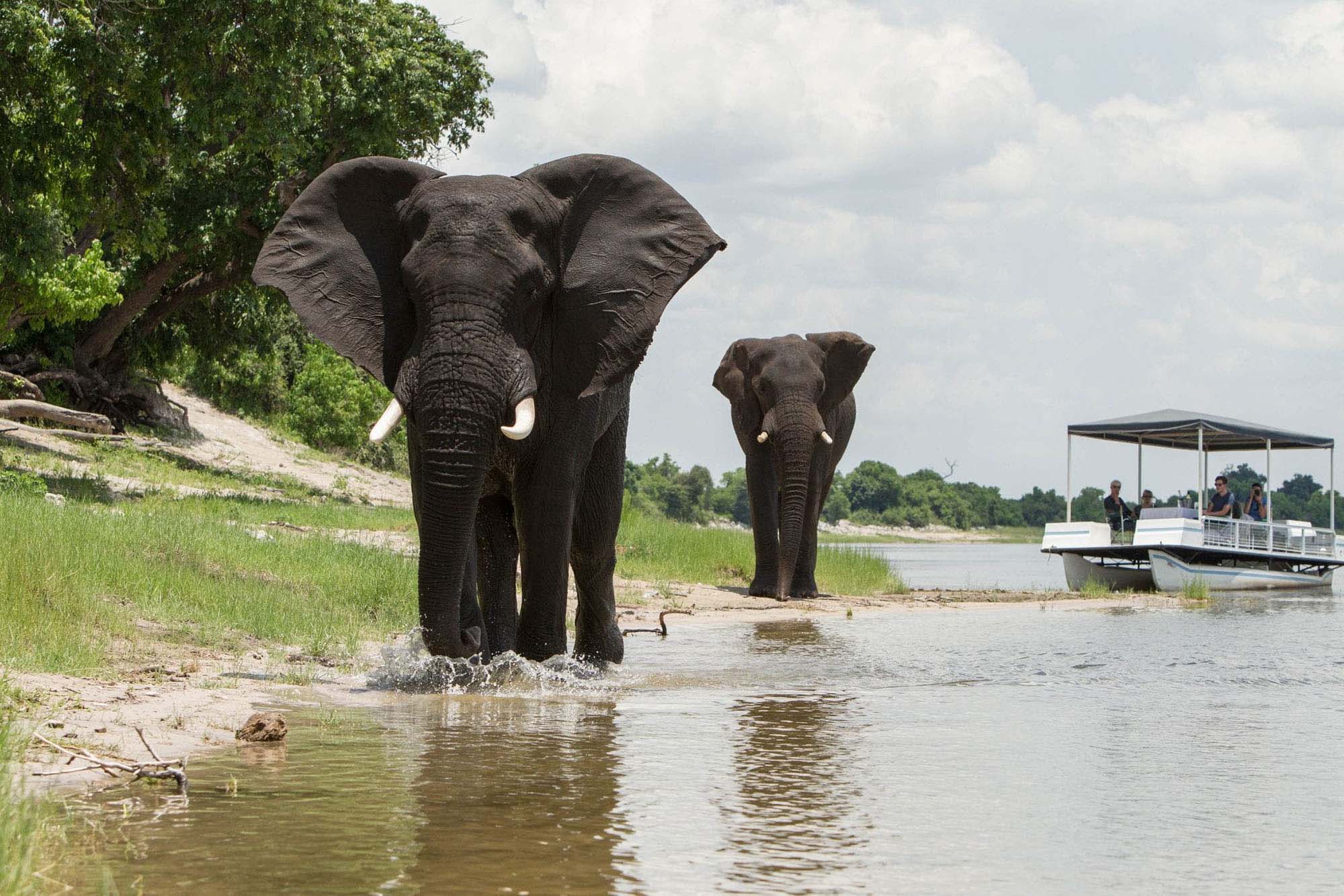 offering a unique wilderness experience and no crowds. Privately owned and managed