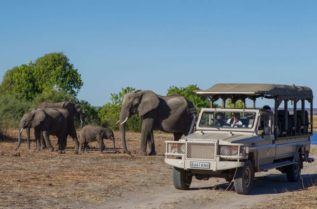 Female Safari Guide Africa