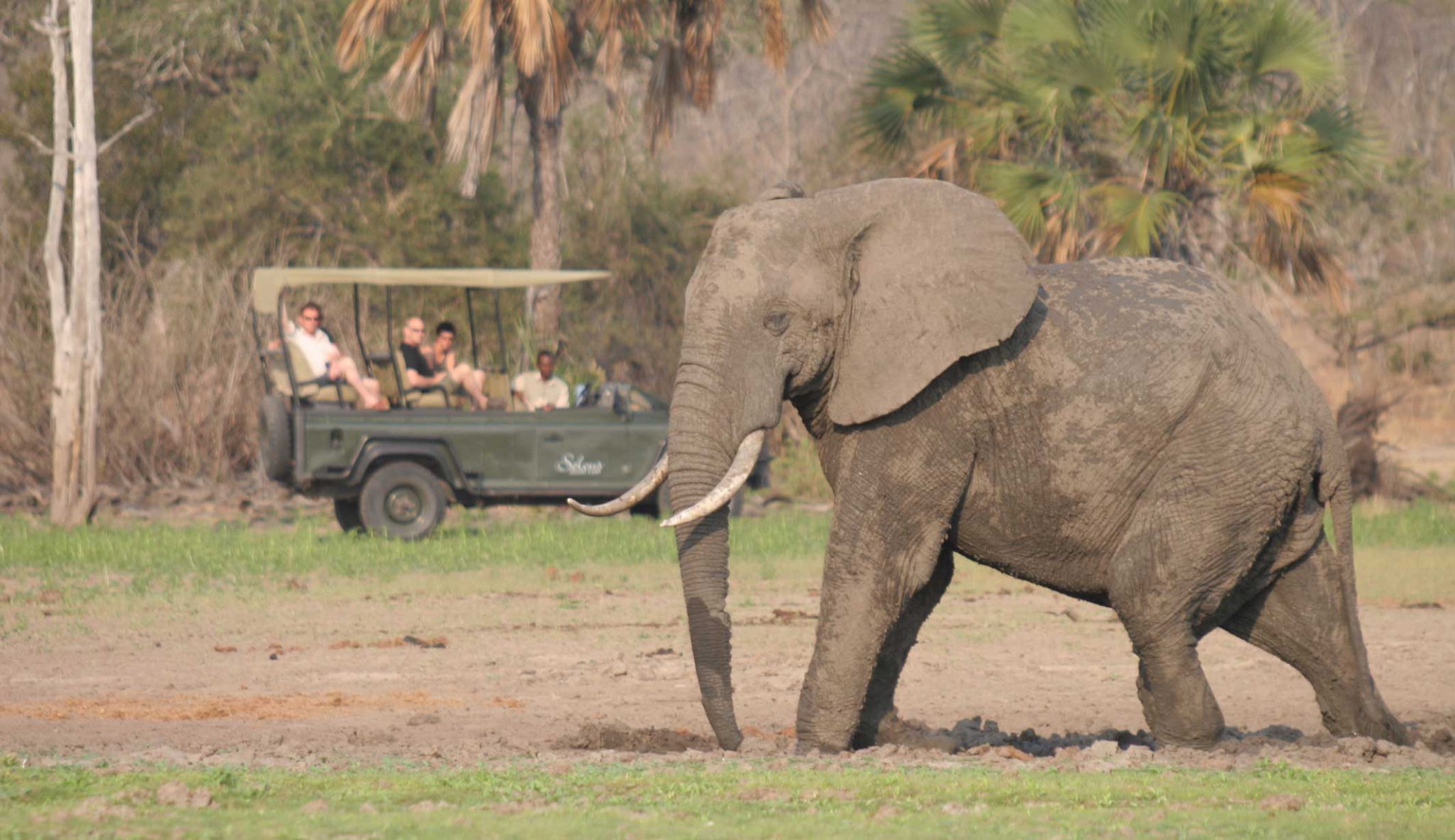 Boat Cruises - Selous National Park