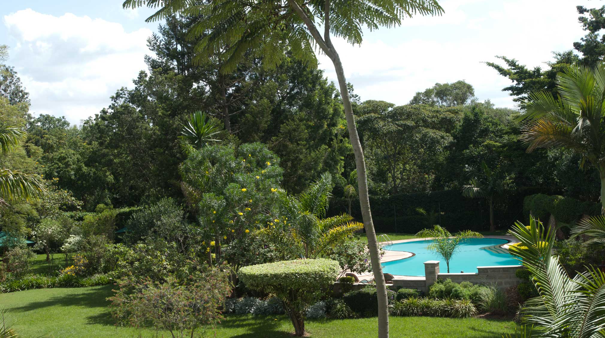 House of Waine: Garden Pool