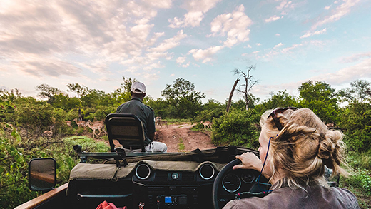 Deluxe South Africa Safari