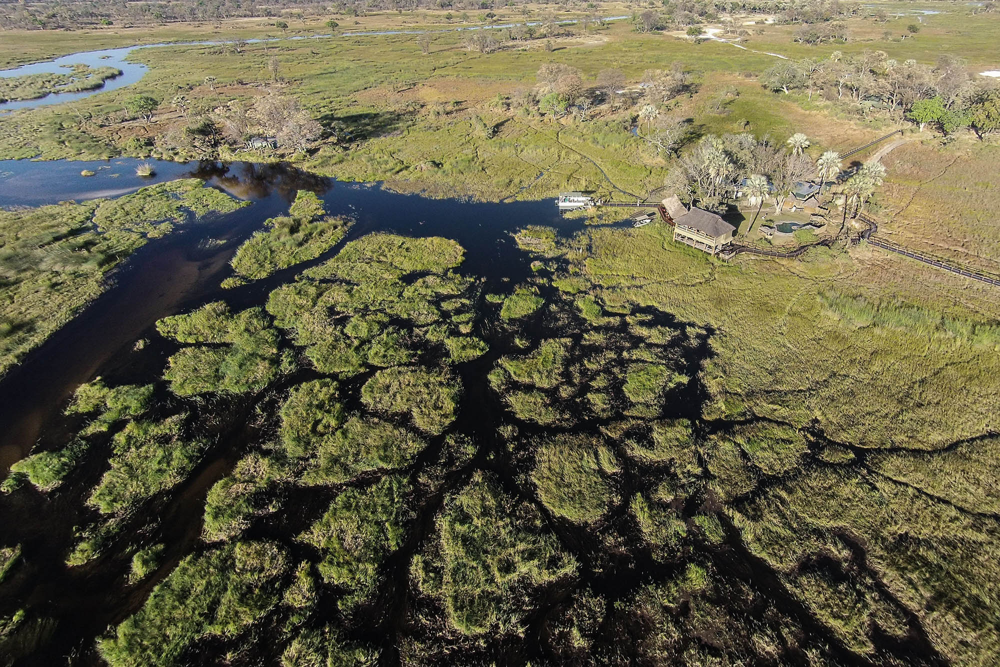 campfire boma and swimming pool. Mokoro excursions are propelled from the stern by skilled ‘poler’ guides