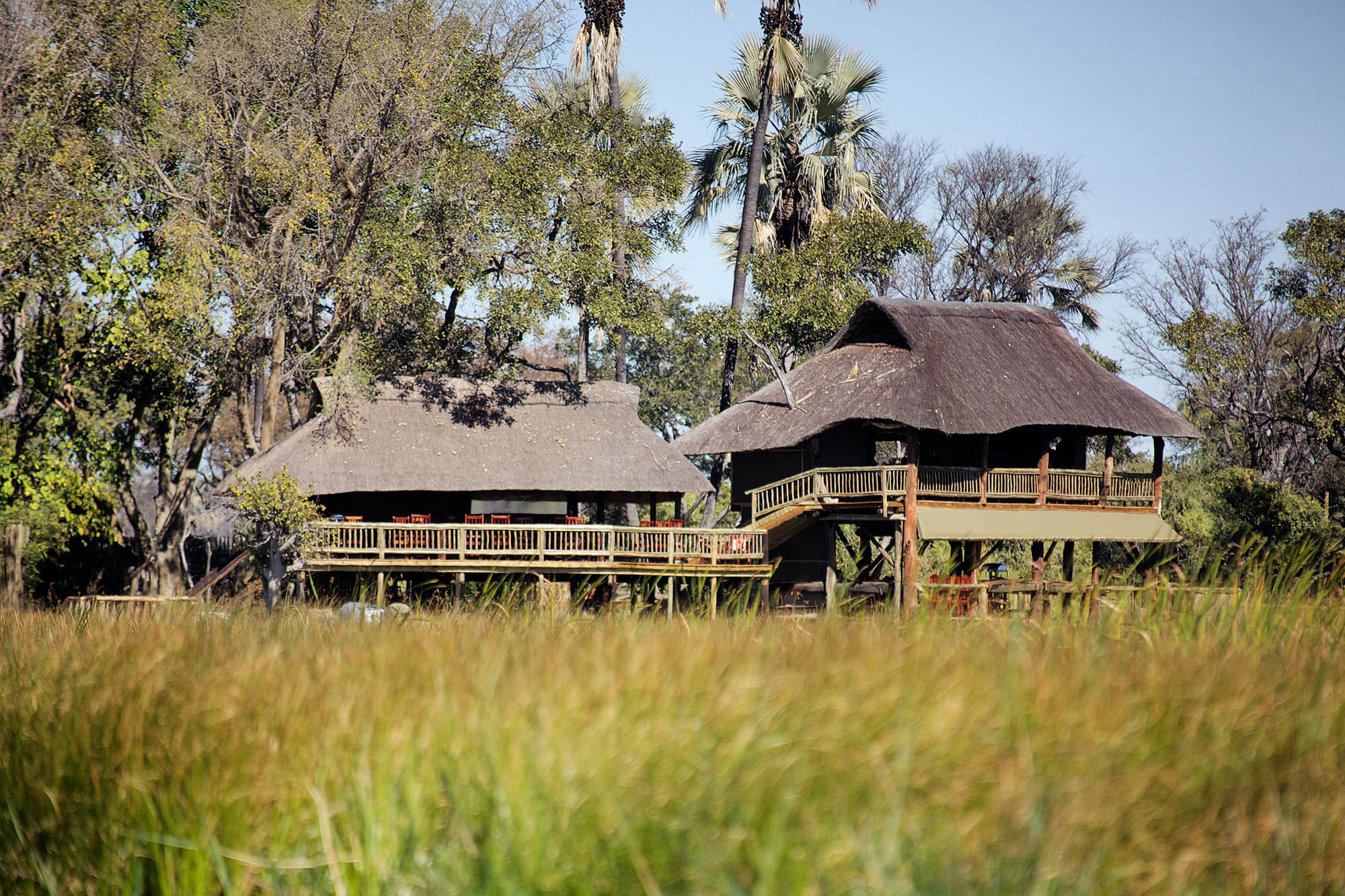 Overlooking the legendary Chief’s Island and bordering the Moremi Game Reserve