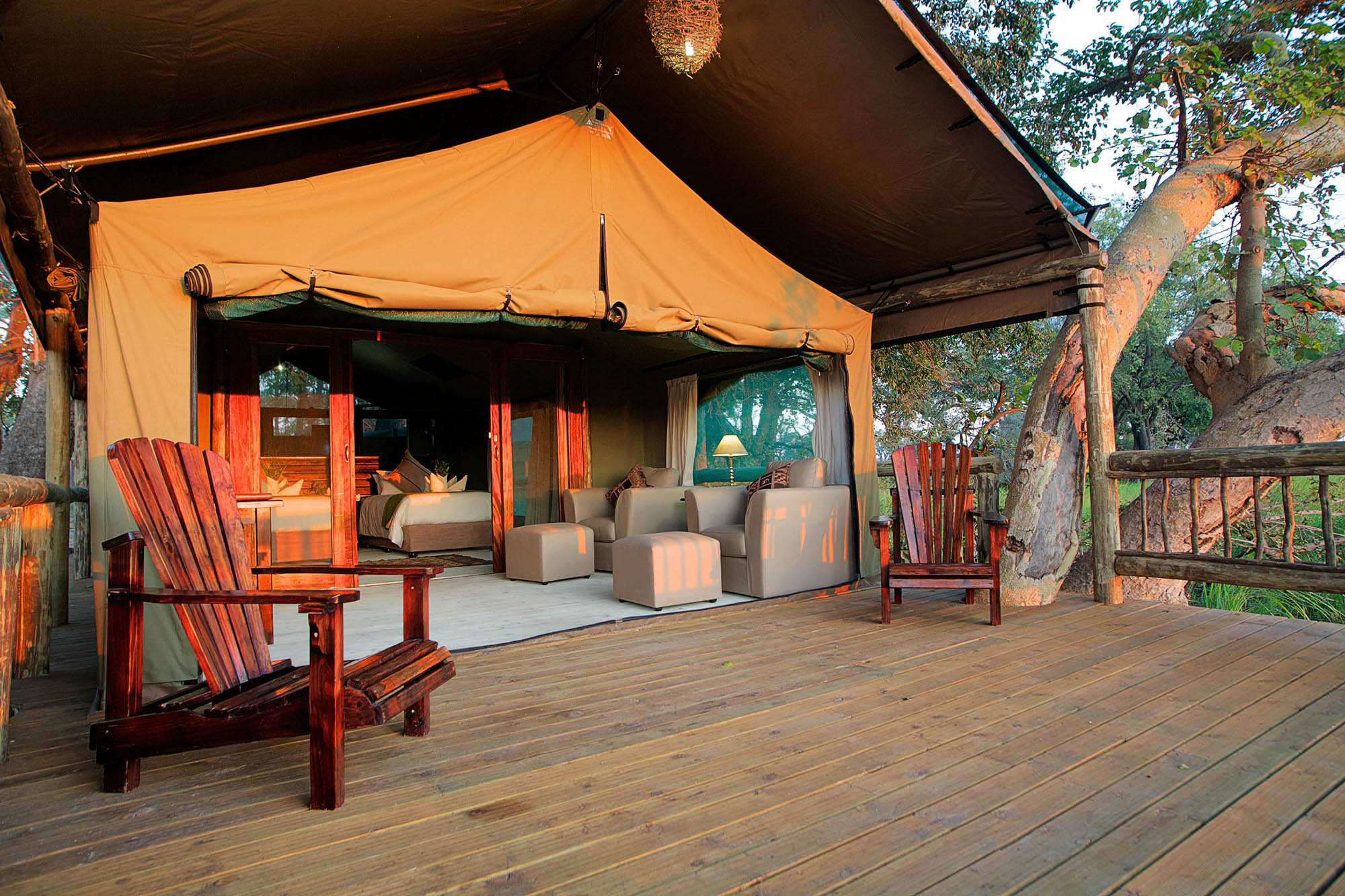 in the Moremi Game Reserve