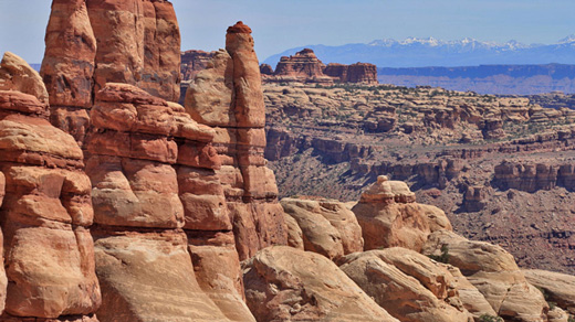 1000 Views of Madagascar