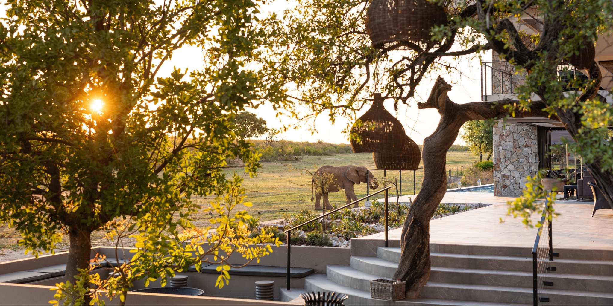 Elephant at the steps of Jaci's Safari Lodge